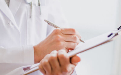 Developmental stages of the project in Silverest